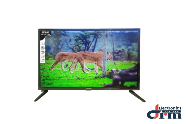 Smart SEL-24L22KS 24 Inch Basic LED TV